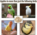 Natural Mixing Bird Nesting Materials,4 Kinds of Material Professional Ratio Matching Nesting Material Pads for Bird,Bir