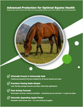 Horse Paste 1.87%, Apple Flavored – 6.08g Oral Gel Syringes (3-Pack) – Adjustable Dosing – for Equine Use Only