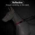 Plutus Pet Martingale Dog Collar with Stainless Steel Chain, Hot Pink, S