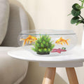 BESPORTBLE Clear Fish Bowl Vase Bubble Bowl Wide Mouth Flower Vase Round Shallow Planter Terrarium Aquatic Plant Pot Daf