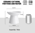 KITCHENLESTAR 6.2 Inch Extra Wide Elevated Ceramic Cat Bowls, Food and Water Bowl Set for Elder Big Cats Small Dogs, Raised Design for Pet Easy Eating, Protect Cat's Spine Set of 2(White)