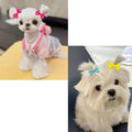JUCCPUL Dog Hair Bows Cute Puppy Dog Bowknot Hair Ties Bulk with Rubber Bands Hair Accessories Bow Pet Grooming Products 40PCS