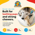 Brazilian Pet 100% Natural Real Cow Ears (50 Pack) Prime Dog Chews, Over 5 inches Free Range Grass Fed Cattle, No additi