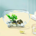 2 Gallon Glass Fish Tank,Sturdy Nicely Betta Fish Bowl,Small Aquariums for Small Ornamental Fish and Reptiles,High Trans