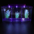 Aquarium Fish Led Light Kid Friendly Small Fish Three Divisions Breeding Isolation Mini Aquarium komplettset LED Acrylic