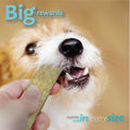 Ora-Clens Oral Hygiene Chews for Small Dogs-Enzymatic Dental Treats for Daily Oral Care, Cleans Teeth and Freshens Breath, Reduces Plaque, Bacteria and Tartar Build Up Without Brushing-30 Chews