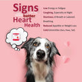 Heart Support Supplement for Dogs-Vet-Formulated, Antioxidant-Rich-L-Taurine, L-Carnitine,EPA,DHA,CoQ10-Aids Circulatory