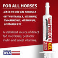 Jeffers Equine Probiotic Oral Gel for Horses, 30 cc Syringe – Supports Healthy Gut, Natural Appetite & Digestion, Horse 
