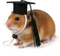 Soochat 2Pcs Mini Graduation Caps with Tassel Small Animal Bachelor Hat Graduation Photo Props Holiday Costume Accessory for Cat Dog (Black)