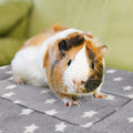 3PCS Rabbit Bed, Soft Bunny Bedding, Fleece Guinea Pig Blanket