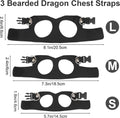 Bearded Dragon Leash and Harness Set