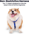 Non Restrictive No Pull Dog Harness, Medium