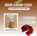 Premium Indian Almond Leaves. 40 Leaves 8-10 inchs. Catappa Leaves Rich in Tannin. Vacuum Packet. Awsome Aquarium Decora