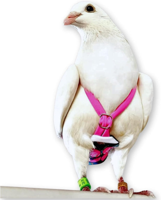 FLYPER Adjustable Mini Bird Diaper | Reusable, Washable Cloth | Comfort Fit for Parrots, Cockatiels, and Other Small Bir