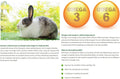 Selective Naturals Garden Sticks Pea & Mint For Rabbits 2.1-Ounce