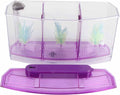 Aquarium Fish Led Light Kid Friendly Small Fish Three Divisions Breeding Isolation Mini Aquarium komplettset LED Acrylic