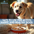 VetNatural Taurine for Dogs, 99.99% Pure Taurine Powder – Immune Support, Boost Energy, Skin & Coat Health for Heart, Vi