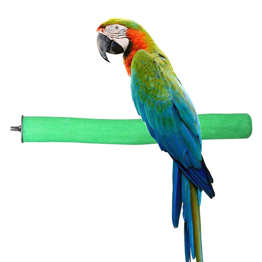 Bird Perch Rough-surfaced Nature Wood Stand Toy Branch for Parrots (Straight Perch, L)