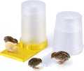 2 Pack Quail Water Feeder, Anti Drowning Design, 400ml