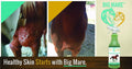 Big Mare Horse Skin & Wound Care Spray, 32 oz | Antibacterial & Antifungal No-Sting Equine Formula for Scratches, Rain R