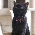 Necoichi Kimono Bow Tie Cat Collar