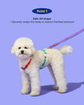 PETHROOM × Wiggle Wiggle Smile We Love Dog Backpack Harness with Leash – Cute Flower-Shaped Mini Backpack, No-Pull Adjustable Harness for Small Medium Dogs, Ideal for Travel, Camping & Hiking (Large)