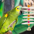 DQITJ Bird Cuttlebone Chew Toy, Natural Bird Calcium Cuddle Bone for Parrot Cockatiel Budgie Conure Sharp Beaks (6 Pcs i
