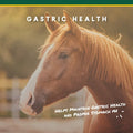 Corta-Flx U-Gard Pellets for Horses, Digestive Supplement, 10 lb Bucket