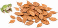 SunGrow Dwarf Frog Mini Catappa Leaves (50 Pc) - Tannin Helps Remove Ammonia, Lower pH - Leaf Litter Indian Almond Leave