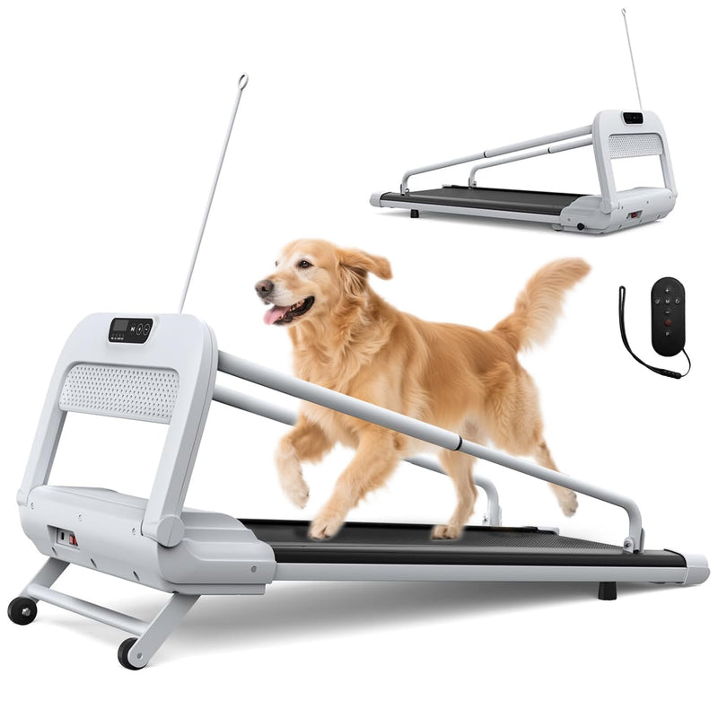Quiet Smart Dog Treadmill for Small & Medium Dogs, Pet Treadmill for Dogs up to 130lbs, Indoor Running Machine for Fitness, Compact & Durable Pacer Treadmill for Health and Exercise