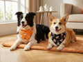 Halloween Dog Bandanas Cute Ghost Reversible Pet Outfit 2PCS