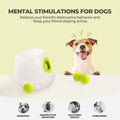 ALL FOR PAWS Automatic Ball Launcher for Dogs Interactive Puppy Pet Ball Indoor Thrower Fetch Machine, 3 Balls Included 