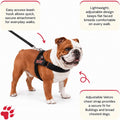 BULLHUG Adjustable Dog Harness– No Pull, No Choke – for English Bulldogs, French Bulldogs, Pugs & Broad-Chested Breeds – Easy, Safe Walks (Black, Small)