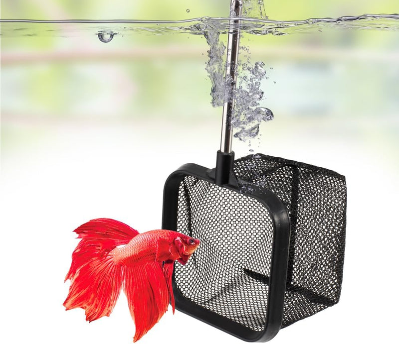 DaToo 3 Inch Aquarium Fish Net for Betta Fish Tank Nano Nylon Net with Extendable Handle 6-16 Inch, 1 Yr Warranty