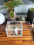 Insect breeding Box Reptile Feeding Box, Waterproof Enclosure Enclosure for arboreal Tarantula Scorpion Sling Lizards Sn
