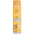 Burt's Bees for Pets Tearless Kitten Shampoo with Buttermilk and Honey, 99% Natural Origin Gentle Cat Shampoo for Sensitive and Itchy Skin, pH Balanced and Fragrance-Free, 10 Fl Oz