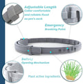 Natural Flea and Tick Collar for Puppies - 12-Month Protection, Safe Pest Control - Waterproof, Strong - Free Flea Comb 