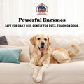 Dr. Pol 3-in-1 Waterless Pet Spray Odor Eliminator, Dog, Cat, Fresh