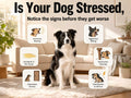 2026 Upgraded Dog Calming Diffuser Refills Kit with 2 Diffusers & 4 Refills, Dog Pheromones Calming Diffuser for Anxiety