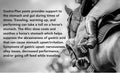 MVP Gastro-Plex Paste Gastric Stress Relief Paste for Horses