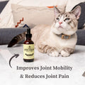 Cat Glucosamine Liquid Supplement with Chondroitin, Hyaluronic Acid & Taurine - Sophie's Apawthecary Hip & Joint Drops for Cats, Pain Relief & Joint Mobility Support, Plant-Based, Made in USA, 2 oz