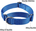 Martingale Collar for Dogs Choke Dog Choker Collars, Purple M