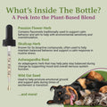 PetAlive EaseSure-S Nervous System Support for Dogs and Cats - Herbal Drops with Passion Flower, Skullcap, Ashwagandha, Wild Oat - Pet Involuntary Muscle Movements and Twitching - 2 Fl Oz