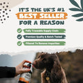 Pets Purest Salmon Oil for Dogs, Cats, Horses, Ferrets & Pets - 32 Fl Oz 100% Pure Premium Food Grade - Natural Omega 3, 6 & 9 Supplement - Promotes Coat, Skin, Joint and Brain Health