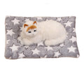 UIRPK Cozy Calming Cat Blanket for Anxiety and Stress (A, L)