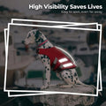 LeLePet Dog Life Jacket, High Flotation Swim Vest for Dogs