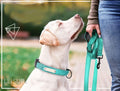 Dual Handle Dog Leash 6FT, Reflective Dog Lead Traffic Handle