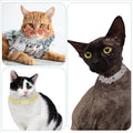 Pink Dog Necklaces for Small Dogs, Diamond Rhinestone Glitter 14mm 12inch