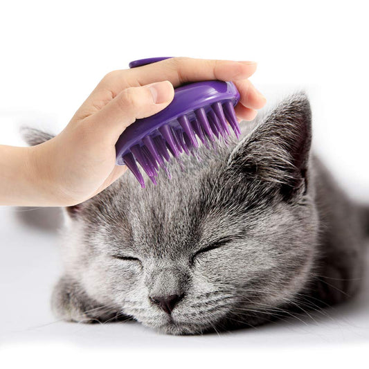 Cat Brush with Soft Rubber Pins, Washable Silicone Pet Brushes for Indoor Cats Kitty - Grooming Shedding Massage & Bath, Removes Hair Mats, Tangles, Loose Fur for Short to Long Haired