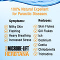 MICROBE-LIFT Herbtana Fish Medicine, Immune Booster and Parasite Treatment for Aquarium Fish Health, Ich Treatment, Use 